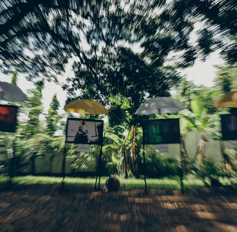 Les photographies de l'exposition alignées dans le jardin